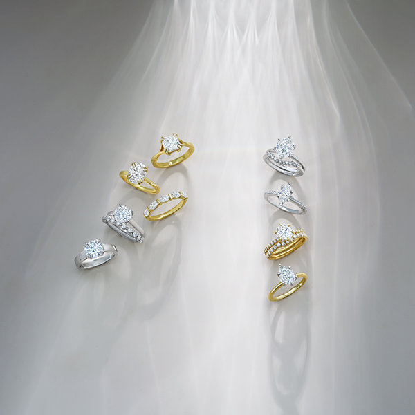 Secret Garden Collection