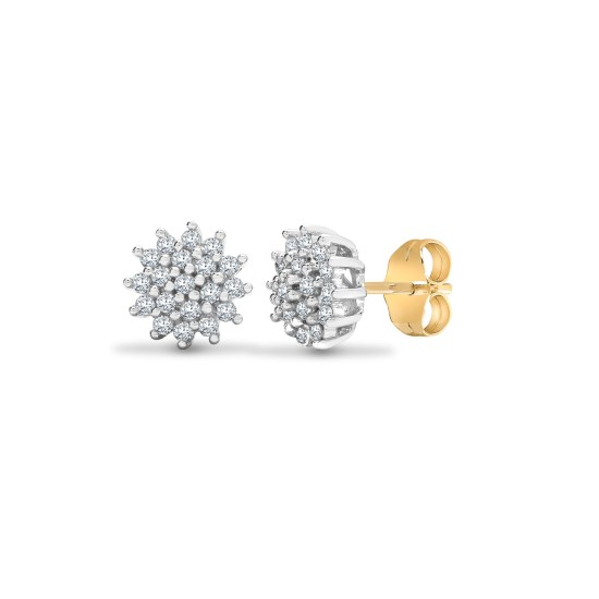 Florida Natural Claw Set  Diamond Earrings