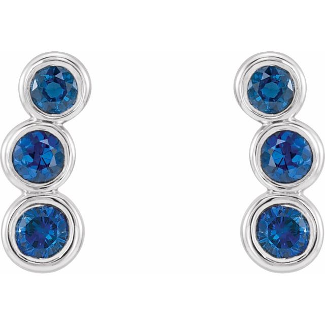 Huetta 0.72 Carat Blue Sapphire Bezel Set  Diamond Earrings