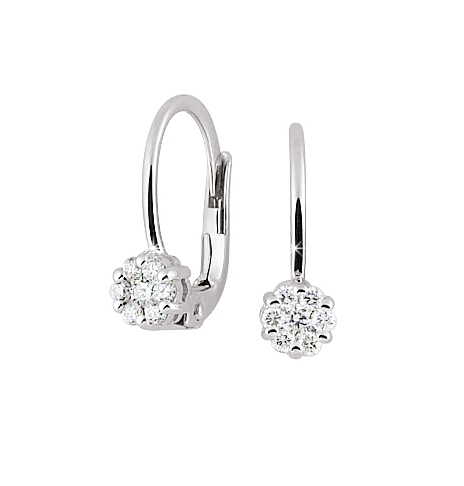 Kamilah Natural Claw Set  Diamond Earrings