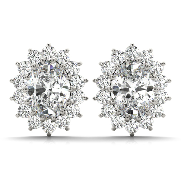 Sandrea Natural Prong Set  Diamond Earrings