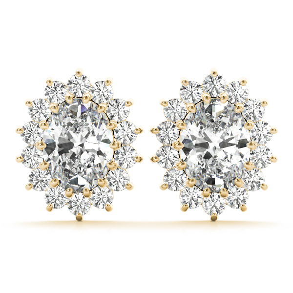 Sandrea Natural Prong Set  Diamond Earrings