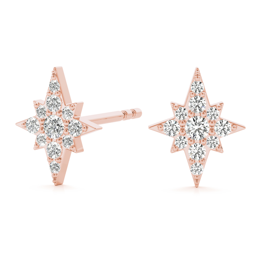 Paul Natural Pave Set  Diamond Earrings
