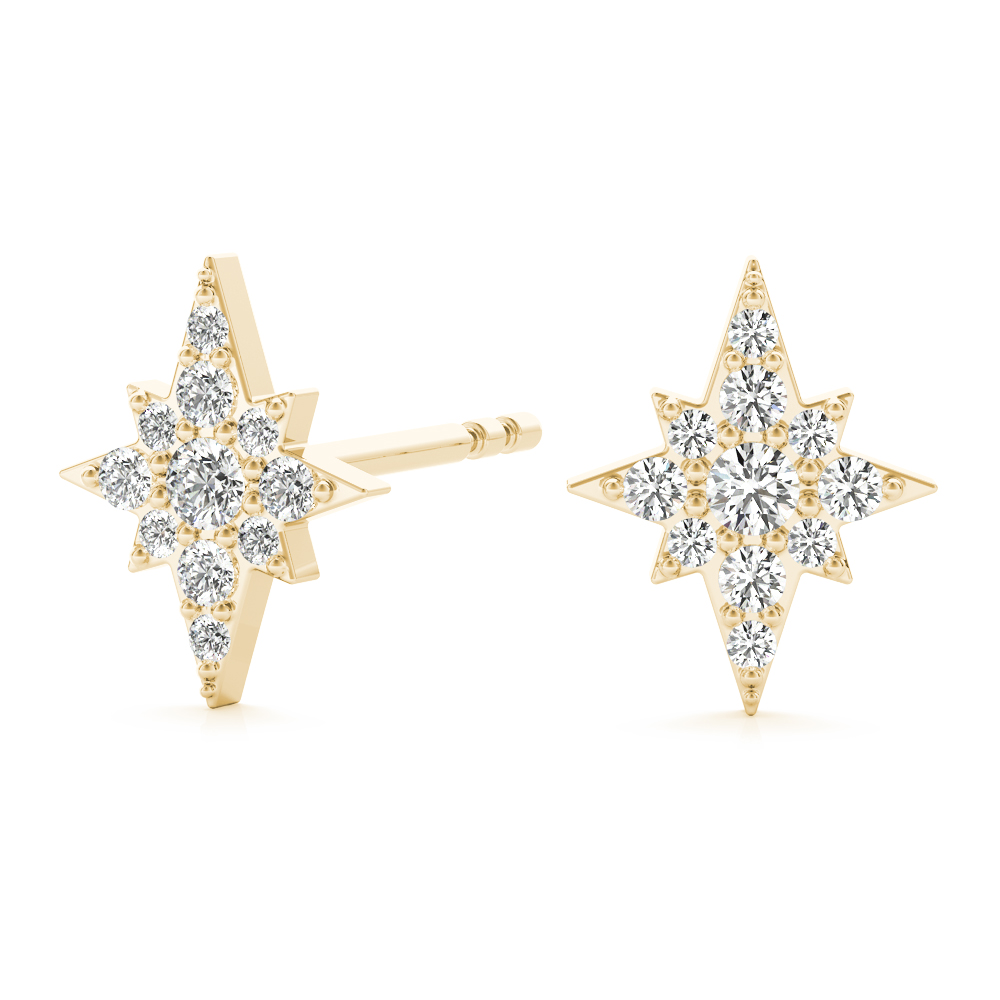 Paul Natural Pave Set  Diamond Earrings