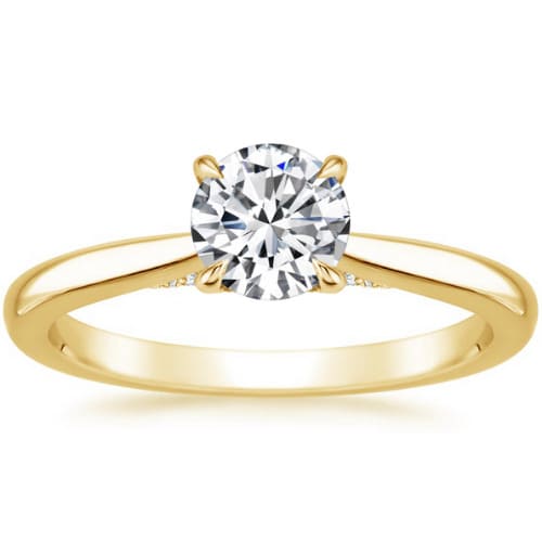 Rinky 0.20-3.00 Carat Round Engagement Ring With Diamond Set on Neck